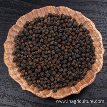 High quality Hainan Black pepper to customers worldwide